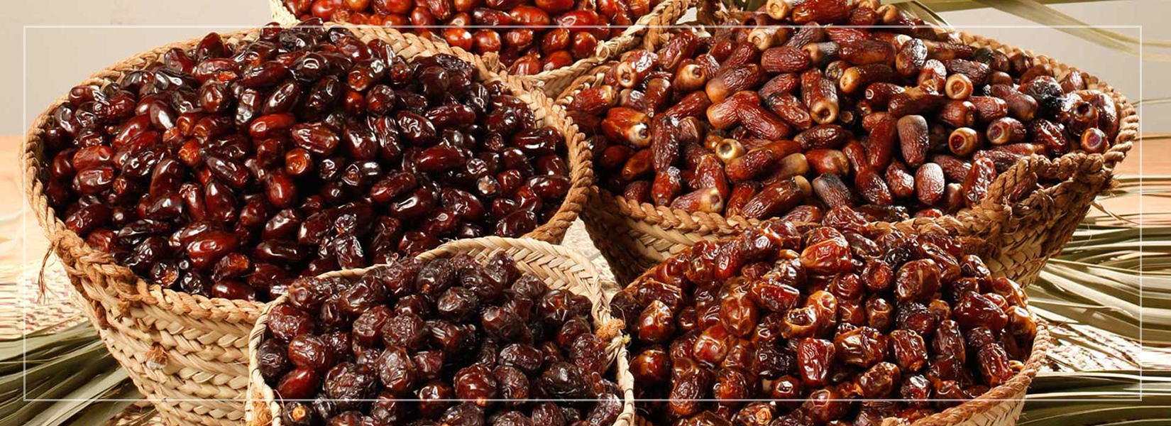 Dates export company